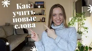 Как учить новую лексику - советы преподавателя