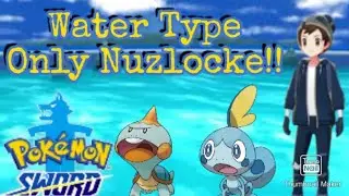 I Let A Randomized Wheel Spin Decide My First Pokemon Nuzlocke