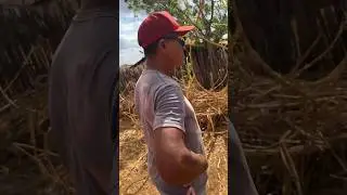 Ficou puto porque perdeu um pato