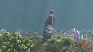 Soft Drink Bottle