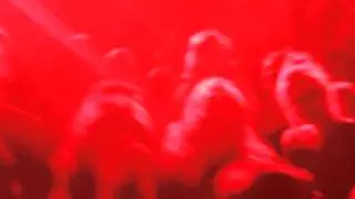 timid tiger live // luxor cologne 2012