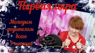 Первая икра! Молодым родителям всего 9 месяцев. 