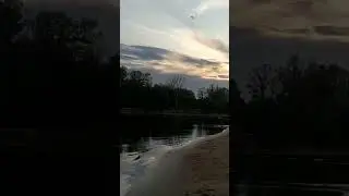 рыба в ночи
