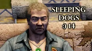 Sleeping Dogs №14