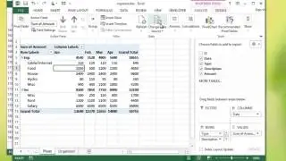 Microsoft Excel - PivotTable Source Data
