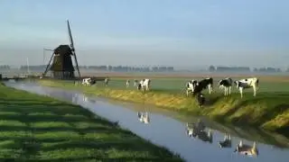 Thijs van Domburg - Vrij op Bevrijdingsdag