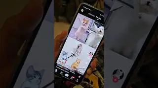 История о том как я что-то там в интернет выкладывал и был таков @koreyanka