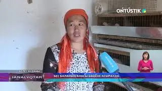 БЕС БАЛАНЫҢ АНАСЫ БӨДЕНЕ АСЫРАУДА