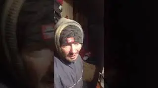 Сегодня праздник у котят).