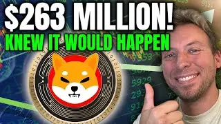 SHIBA INU - $263 MILLION!!! I SAID THIS WOULD HAPPEN!