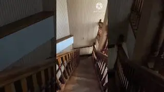 Дерев'яні сходи #сходи #санаторій #трускавець