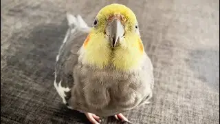 Are you done yet?