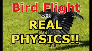 Unreal Bird Flight with real physics preview.