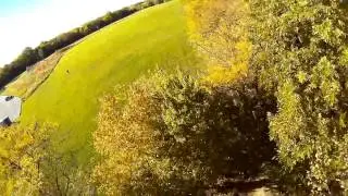 FPV - VDQ250 - Autumn Gold