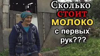 Село Борисово