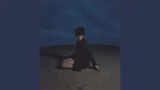 猫とゴミ