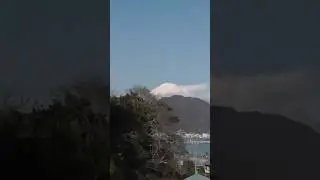 🌸 Gazing Across Suruga Bay: Izu Peninsula and Mount Fuji from Yui - softypapa shorts 🏔️🇯🇵🌊