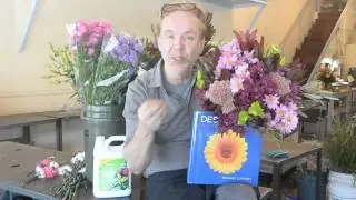 How to Make Flowers Last for Weeks