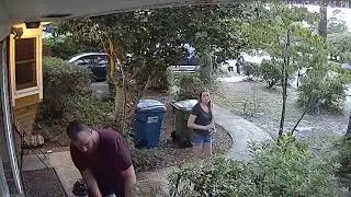 Getting stung by Ground Hornets reaction security camera
