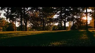 Waterloo - Black Magic Cinema Camera