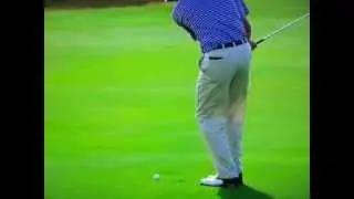 Steve Stricker - The 