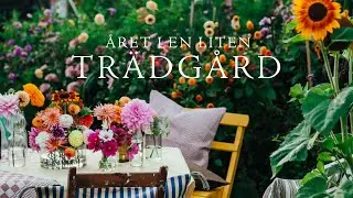 Året i en liten trädgård - 'The Year in a Small Garden'