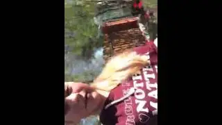 2016 05 07 14 23 Страдаем ерундой😝 - NutaRhine (Аня Самойлова) - Periscope Перископ Архив Коломна