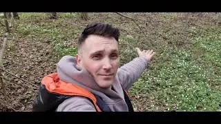 Беларусь моими глазами / Весна в лесу. 