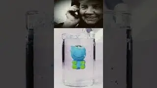 #shortsvideo
