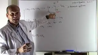 HALOGENATED HYDROCARBONS. ORGANIC CHEMISTRY