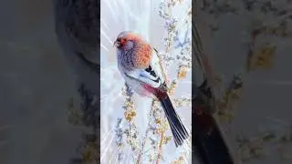 🎄🌞С ДОБРЫМ УТРОМ ЯНВАРЯ ! @_0104 #видео #видеооткрытки #длявас