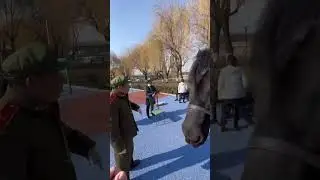ПОГЛАДИЛ ДЕДУШКУ С ОСЛИКОМ В КИТАЕ (ЗУБАРЕВ) 