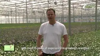 Gebr. van der Lugt (english subtitles)