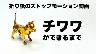 折り紙　チワワ　Origami   Chihuahua