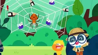 Kids Science - Which Animal is An Insect?  Spider, Ant and Snail - Babybus Game Video