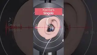 【REAL SOUND】Kiwi Ears X Crinacle Singolo 🆚 Quintet