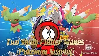 Two Shiny Ghosts (Pokémon Scarlet)