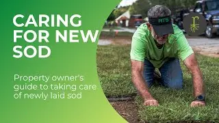 How to Care for New Sod Grass