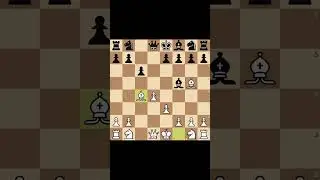 Гамбит кабана в шахматах💣