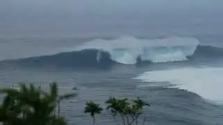 Jaws on fire