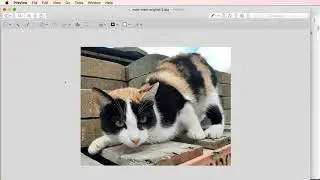 macOS preview image editing