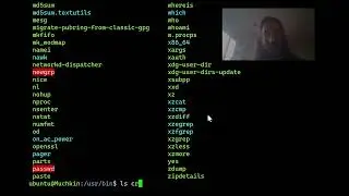 Using GNU Screen to Monitor Linux System Daemon Service