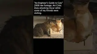 Flashback: Hilarious behind the scenes raw video from "An Engineer's Guide to Cats"