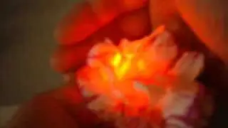 Светящийся цветок