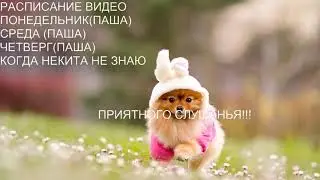 Музыкальное расписание