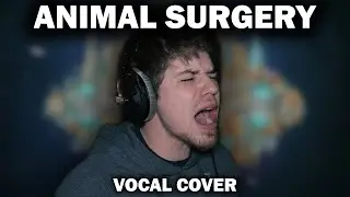 Animal Surgery – Dance Gavin Dance | Vocal Cover by Stephen Cooper
