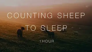 Counting Sheep to Sleep | HD Sheep Videos with Relaxing Sleep background Music