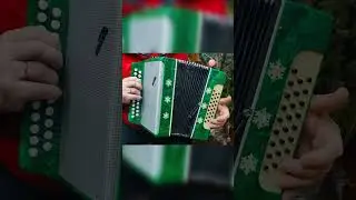 как быстро научиться играть  на гармони  В лесу родилась елочка три аккорда 300 песен 