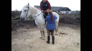 Тренировка в КСК Фаворит часть 2