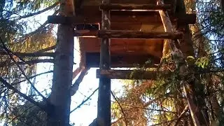 Строим новый ЛАБАЗ для охоты, привада на Лису...